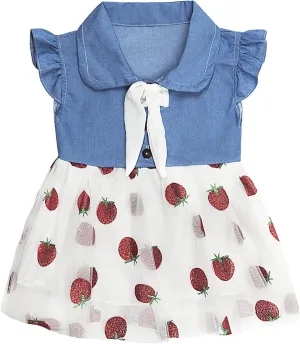 KIDSCOOL SPACE Baby Girls Overalls Jean Dress, Flower Embroidered Double Color Spliced Tulle Skirts