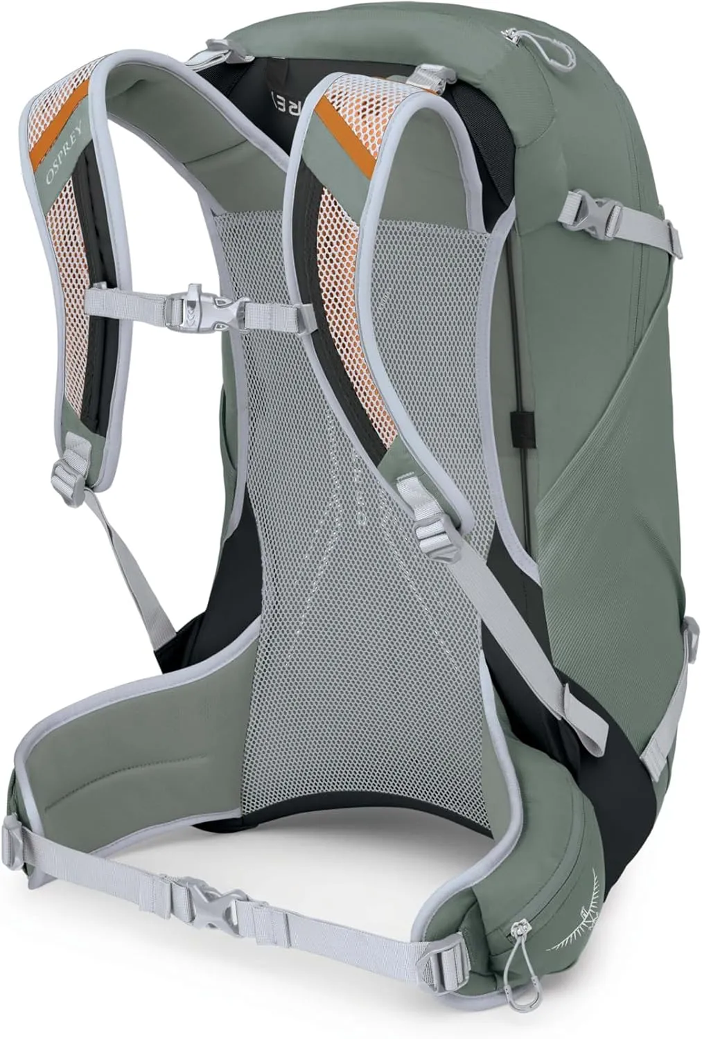 Osprey Hikelite 28L Unisex Hiking Backpack, Pine Leaf Green, M/L