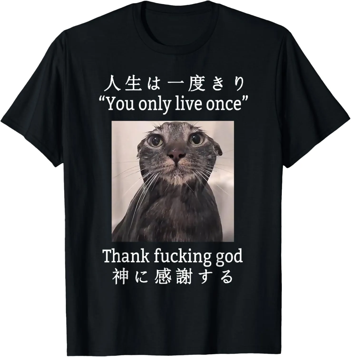 Unisex Adults Cat Lovers Humor Appreciators Young Adults T-Shirt - Black - Small - Short Sleeve - Letter Print - Classic Fit - Stretchable - Crew Neck - Machine Wash